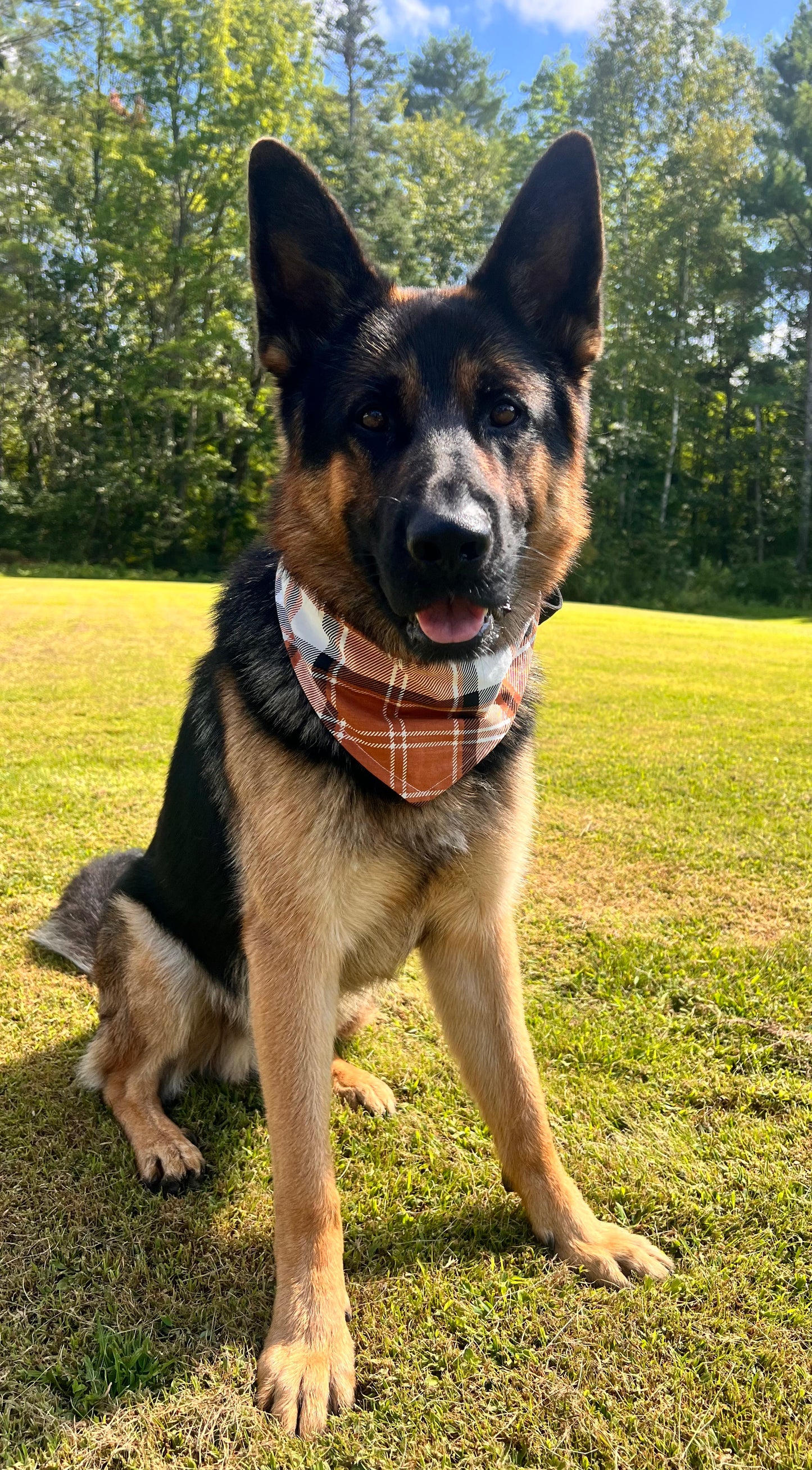 Fall Plaid Dog Bandana