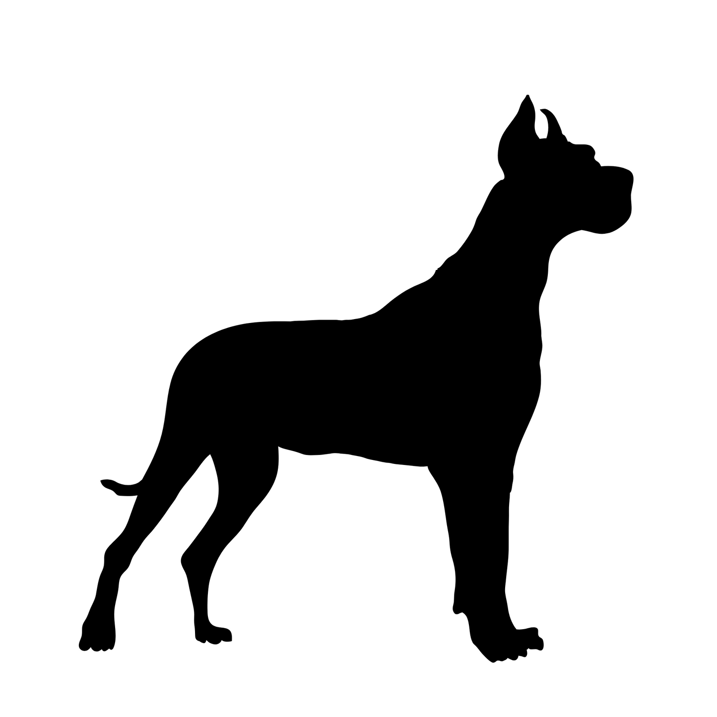 Dog Decal